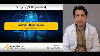 Brachial Plexus Injuries - Types and Lesions