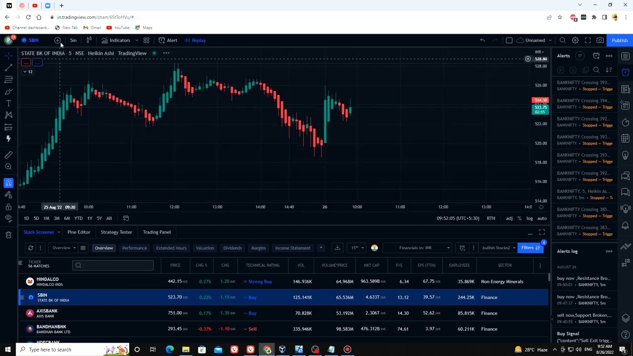 Unlock The Best Stock Screener Settings For Trading View | HINDI 📈 ...