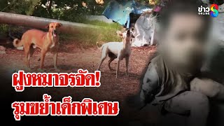 เด็กพิเศษถูกฝูงหมาจรจัดรุมขย้ำสาหัส | ลุยชนข่าว | 21 ก.พ. 68