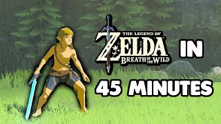 How to beat Breath of the Wild in 45 MINUTES