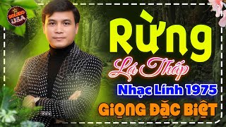 Rừng Lá Thấp - LK Nhạc Lính Bolero Trữ Tình ÊM TAI Vượt Thời Gian, Nhạc Vàng Xưa Dễ Nghe Dễ Ngủ