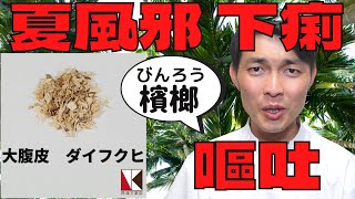 【漢方】大腹皮（ダイフクヒ）１分で分かる生薬解説