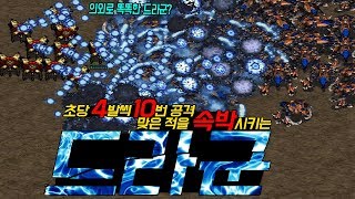 스타크래프트1 드라군의 공격이 4발씩 10번 공격하고 속박을 시킨다!? 드라군이 의외로 똑똑하다? 많은분들의 요청으로 '개사기'급 드라군을 만들어 보았다.