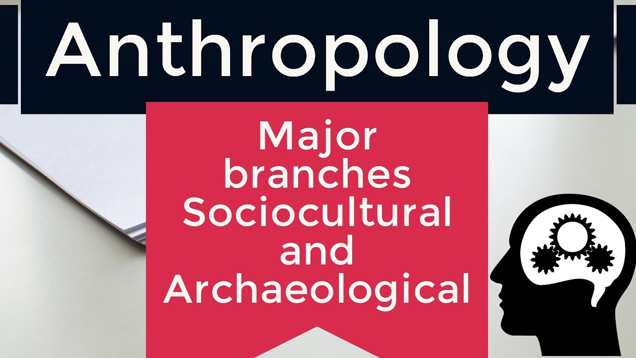 Anthropology - Major Branches Sociocultural And Archaeological ...