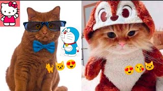 Funny animal videos of cats and dogs😹😻, try not to laugh 2023😹😻