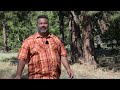 highpointing humphreys peak the highest point in arizona rooftops of america extended version