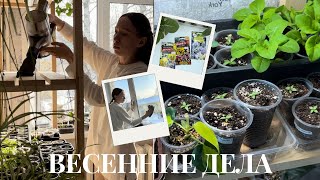 ВЕСЕННИЕ ДЕЛА 🧺 уборка на кухне 🫧 🧹рассада цветов и комнатных овощей 🪴