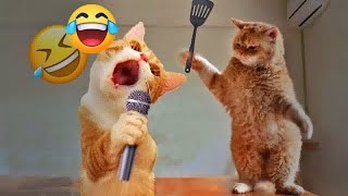 You Laugh You Lose😋😻Funniest Dogs and Cats 2025😹🐕