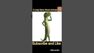 Amazing Fact About Animals 🐀🐕 Amazing Facts |Top 3 #HindiTVIndia #Shorts #viral #facts #ytshorts #yt
