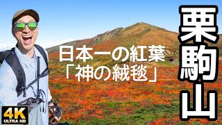 4K【栗駒山】日本一の紅葉「神の絨毯」_2024/10