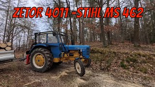 ZETOR 4011, Krpan 4Si, STIHL MS 462 - kácení suchých borovic