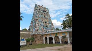 பெண்கள் தானம் செய்தால் இரட்டிப்பு பலன் #dhanam #palan #aiyarappar #thiruvaiyaru #thanjavur #shorts