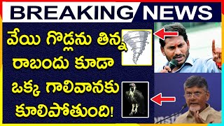 వేయి గొడ్లను తిన్న రాబందు కూడా ఒక్క గాలివానకు కూలిపోతుంది! | Chandrababu Cheap Politics | AP News