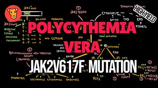 POLYCYTHEMIA VERA Etiology Molecular pathogenesis of JAK2V617F mutation. JAK2 kinase