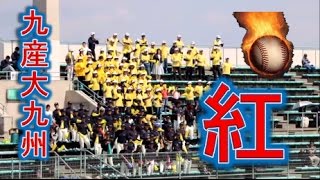 九産大九州の応援！！X・「紅」！！春季高校野球(baseball)福岡大会！！