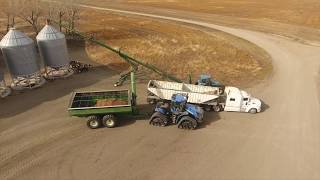 Flax harvest 2017. Canada. MY AGRO