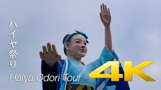 Haiya Odori Tour - Kumamoto - 熊本県