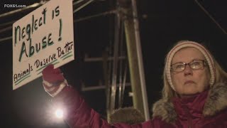 Cheshire protesters call out local shelter for not providing proper care for animals in their care