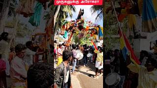 Thaipoosam 2025 | Muruga Muthukumara Arogara #thaipusam