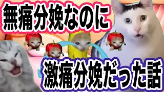 【猫ミーム】無痛分娩なのに激痛分娩だった話 #猫ミーム #猫マニ #出産レポ【第一話】