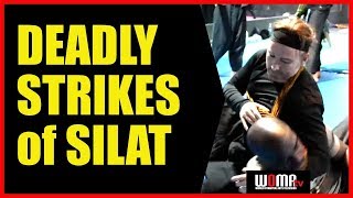 DEADLY STRIKES of SILAT