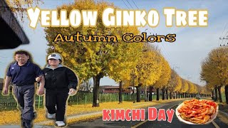 Autumn Showers GINKO TREE Leaves|가을 소나기 노란 은행나무 잎|KIMCHI DAY|김장 #autumn #season #kimchi #korea