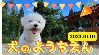 犬の幼稚園　まとめ2023.10.10　ドッグスクール縁島根県松江市宍道町　犬のしつけ　トレーニング　しつけ教室　出張　ドッグラン（講習制）　ドッグフリーキャンプ場　犬の保育園