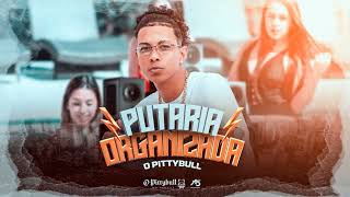 O PITTYBULL - PUTARIA ORGANIZADA 1.0 - BARRACO DE TF