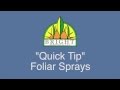 Commercial Hydroponic Quick Tip: Foliar Sprays