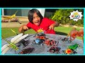 Learn about Bugs Facts for Kids with Ryan's World!