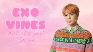 EXO vines but it’s just Sehun pt.4