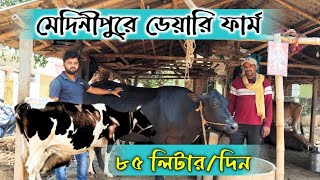 ৯০ বছর ধরে ডেয়ারি ফার্ম করছেন |Start A Dairy Farm | Dairy Farming| Dairy Farming Profit and Loss🐄🐂