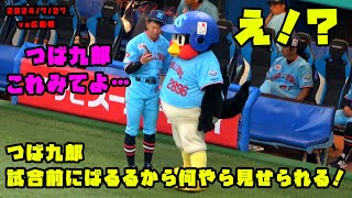 つば九郎　ぱるること西川くんに何やら携帯で見せられる！？　2024/7/27 vs広島