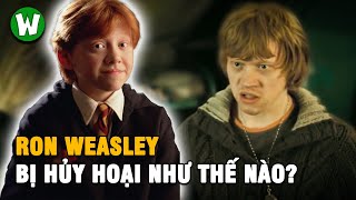 Ron Weasley | Sự Thay Đổi Từ Tiểu Thuyết Đến Màn Ảnh