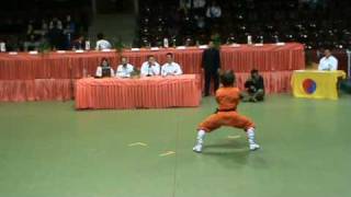 2nd ITGC (Hungary) - shaolin taizu chang quan