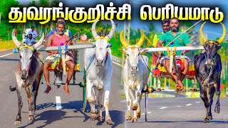 6திண்டுக்கல்(மா)துவரங்குறிச்சி பெரியமாடு பந்தயம்_Amuthamstudio