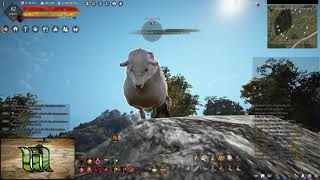 Just a normal Day in Black Desert Online | Montage