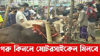 রাজধানীতে জমে উঠেছে কোরবানির হাট   | Cattle Market | News | Ekattor TV