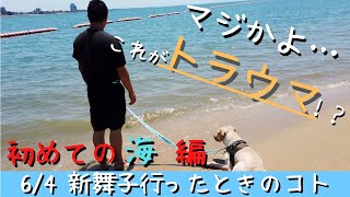 【はじめての海＠新舞子】愛犬のトラウマが増えました