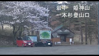 岩手　姫神山　2021/05/04 道の駅にしね　から　一本杉登山口までの道の様子