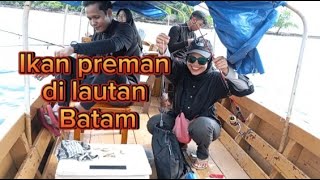 Jembatan 6 barelang punya cerita