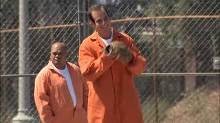 Arrested Development - I'm white