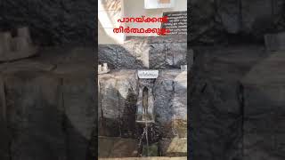 പാറയ്‌ക്കൽ തീർത്ഥക്കുളം ##shortsviral #touristplace #paarayckal@natureobscura