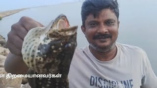 பயங்கரமான பன்டாரிமீன் வேட்டை வாங்க பார்க்கலாம்