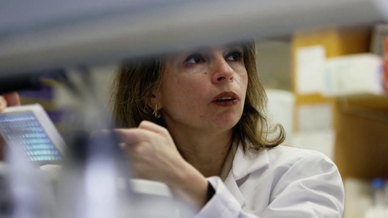 Faculty Spotlight Inga Peter Phd Youtube