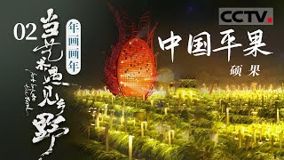 《年画画年-当艺术遇见乡野》一个巨大火龙果空投到平果 它闪闪发光 映照着乡村 这个巨大的火龙果究竟能做什么？——硕果【CCTV纪录】