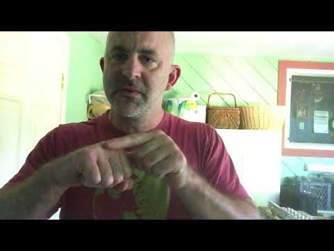 What happens if you leave a broken knuckle untreated?
