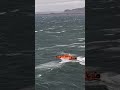 SAR-Life in the North Atlantic