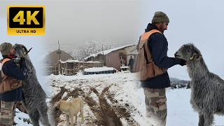 A Young Shepherd’s Winter Day in the Snowy Mountains | Life with Goats