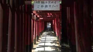 ムリでした「美濃輪稲荷神社」赤鳥居を茅の輪くぐり 2022.6.30 #shorts